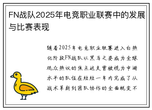 FN战队2025年电竞职业联赛中的发展与比赛表现